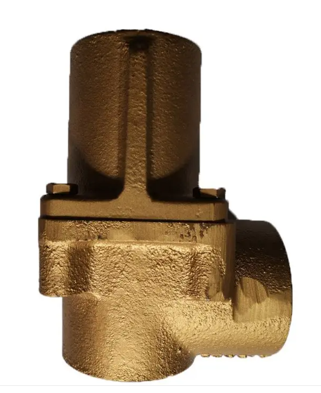 2236043880	CHECK VALVE