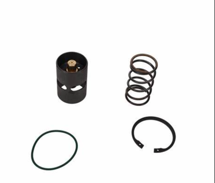 3001531150	THERMOSTAT KIT