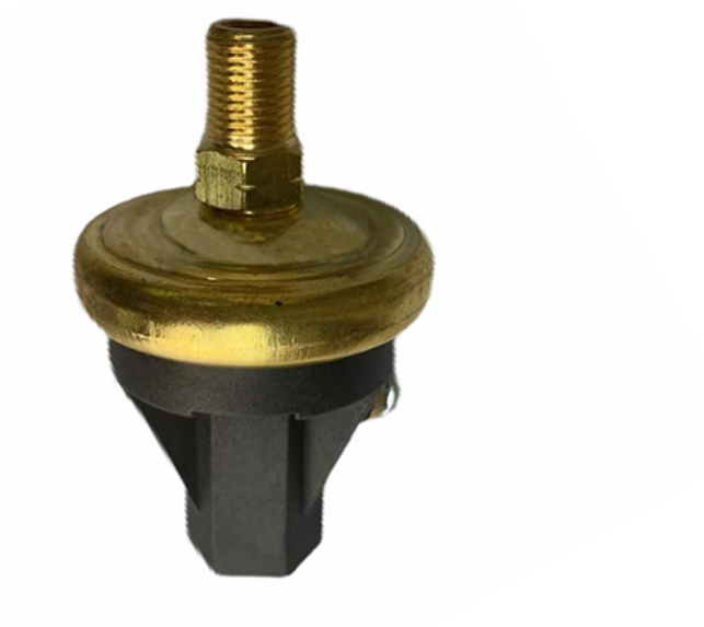 39127741 Vacuum Switch