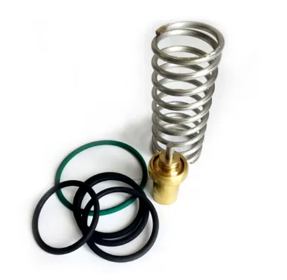 2205490592 Thermostatic Valve Kit