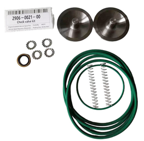 2906002100 Check Valve Kit
