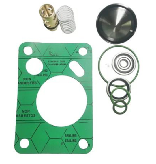 2906096000 Check Valve KitModel : 2906096000