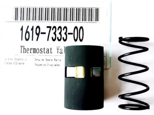 1619733300 Thermostat Valve Kit
