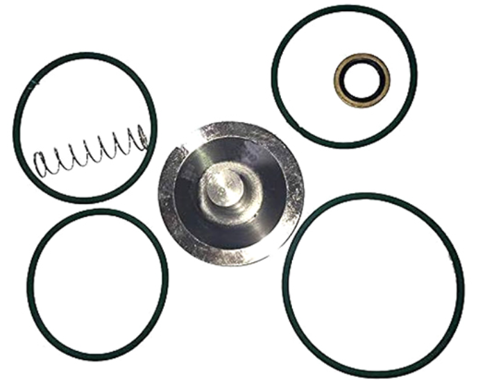 2901050301 Check Valve Kit