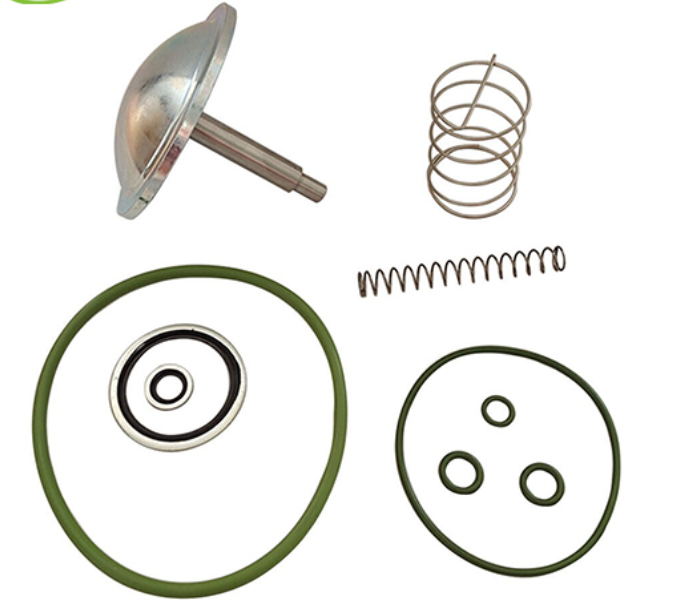 3001172100 Check Valve Kit