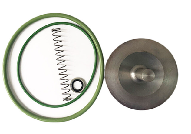 2906009300 Check Valve Kit