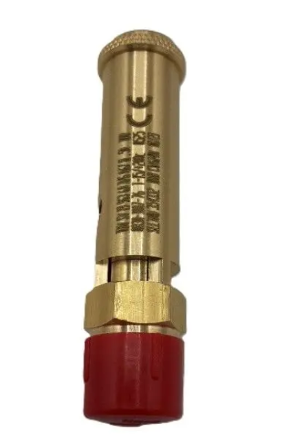 0830100776 - SAFETY VALVE