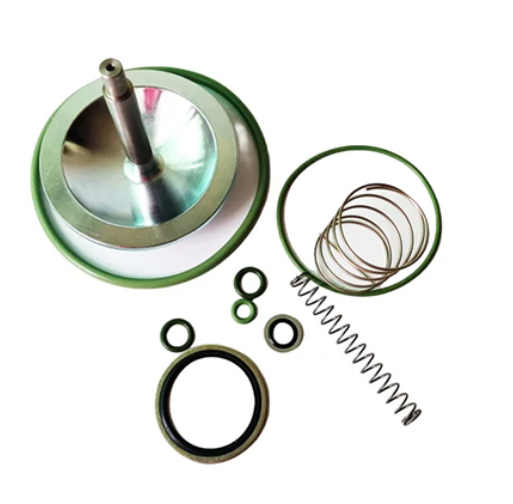2906096100 Check Valve Kit
